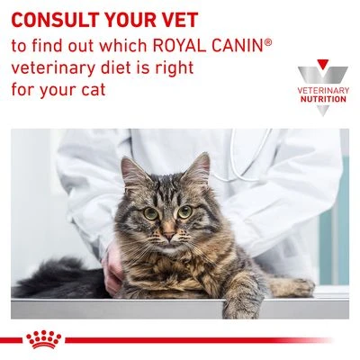 Royal Canin Veterinary Feline Skin & Coat 8 Royal Canin Veterinary Feline Skin & Coat - Image 8