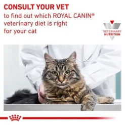 Royal Canin Veterinary - Renal With Chicken -Trixie || Savic || Hill's Science Plan Sales rc vet wet catrenchicktsig eretailkit b1 cv 7 med res basic 5