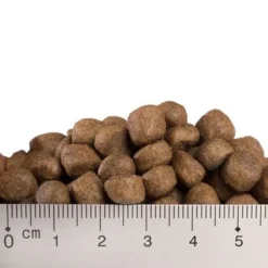 Feringa Adult Fish 6 Feringa Adult Fish -Trixie || Savic || Hill's Science Plan Sales x008 0