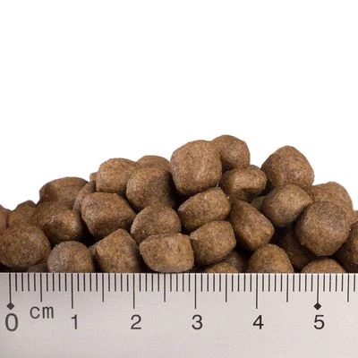 Feringa Adult Fish 3 Feringa Adult Fish - Image 3